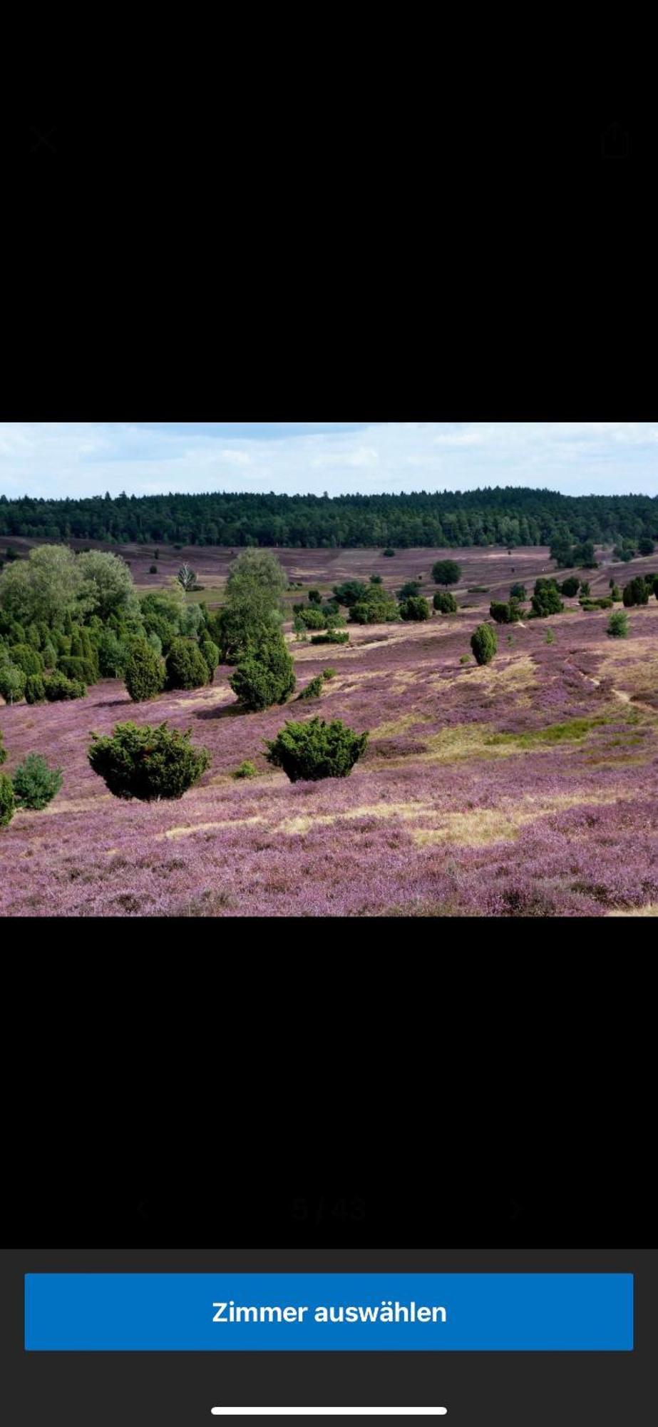 Landhotel Vessens Hoff Buchholz in der Nordheide Exteriör bild