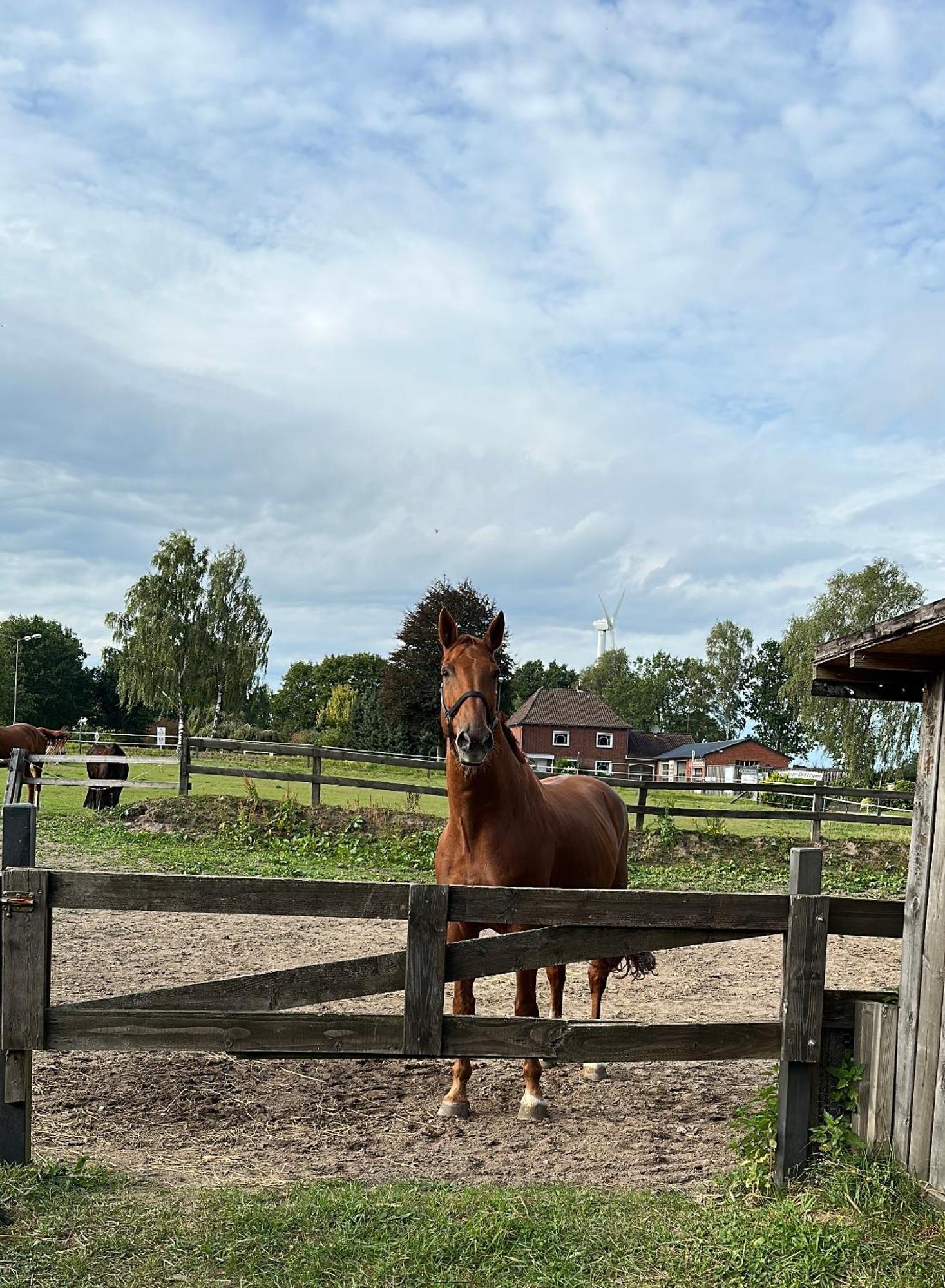 Landhotel Vessens Hoff Buchholz in der Nordheide Exteriör bild